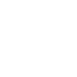 Icon for social media